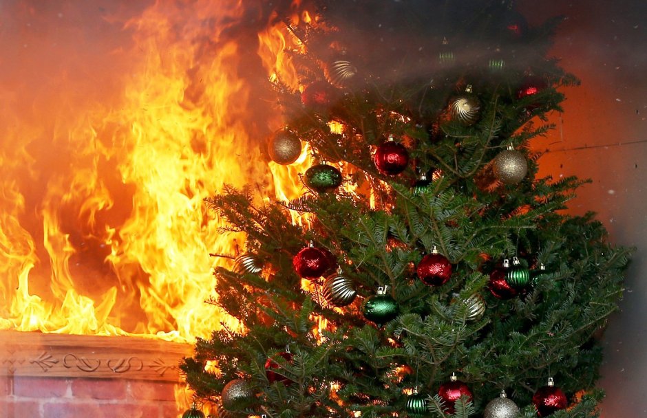 Загорелась Новогодняя елка