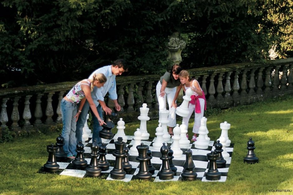 Шахматы кружок для детей