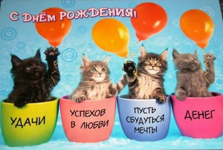 Милые пикчи с котиками с днем рождения