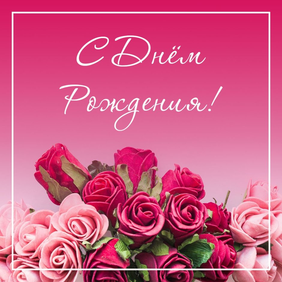 Красивые розы на день рождения - фото и картинки zelgrumer.ru