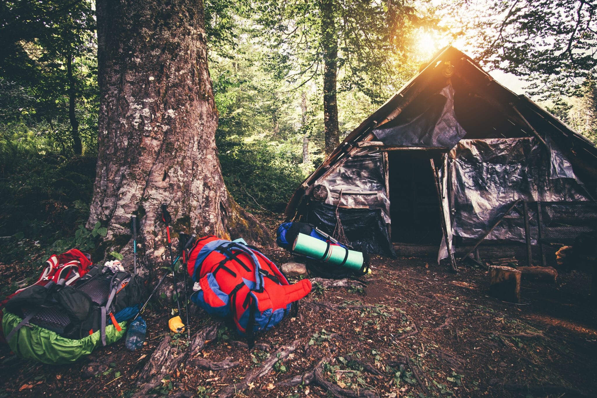 Русское в палатке на природе. Палатка в лесу. Поход в лес. Поход с палатками. Палатка костер.
