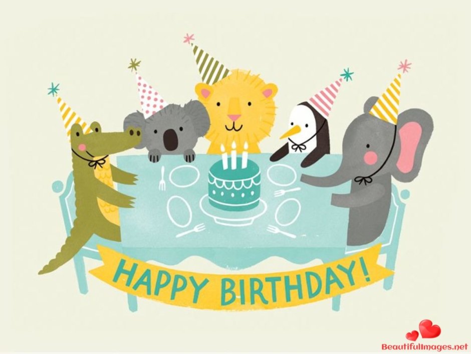 Животные празднуют день рождения