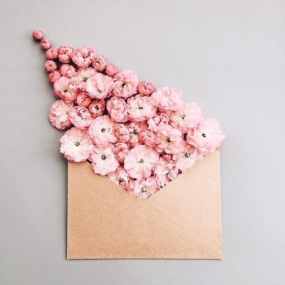 Цветы в бумажном конверте