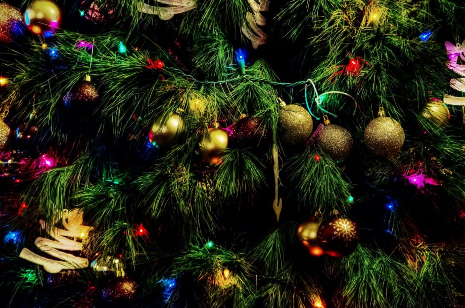Classic Christmas Tree ель Эванс 0.95