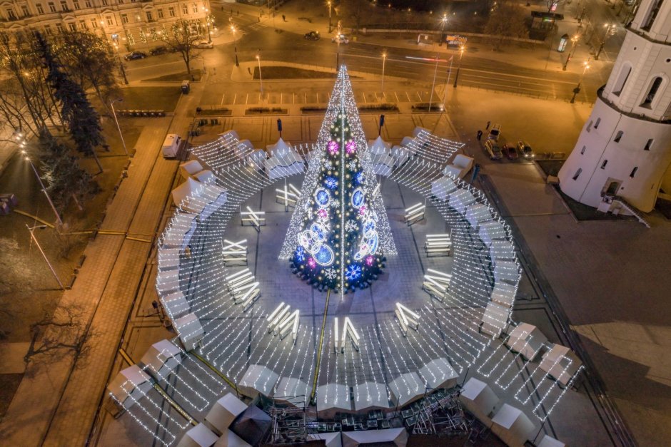 Вильнюс, Литва Национальная елка на Кафедральной площади