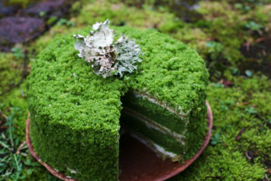 Торт Лесной мох со шпинатом