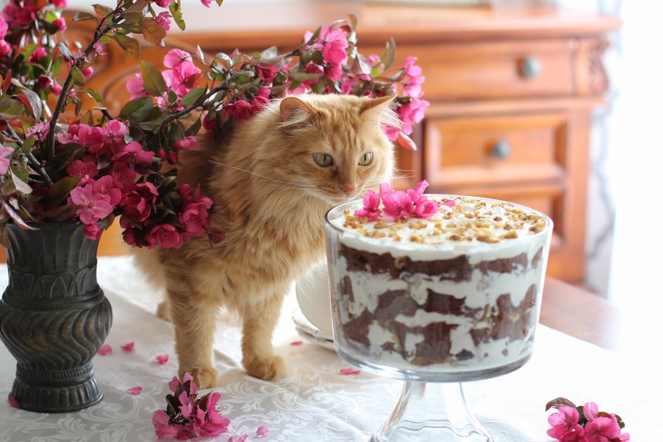 Тортик с котятами