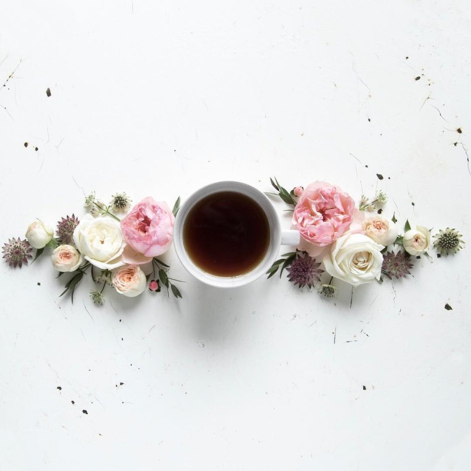 Красивые цветы кофе Минимализм