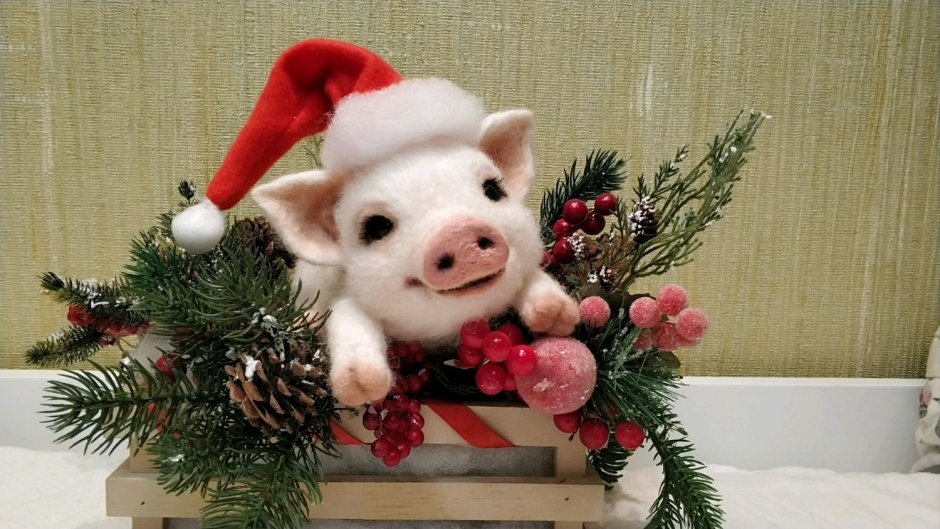 Свинья в новогоднем колпаке