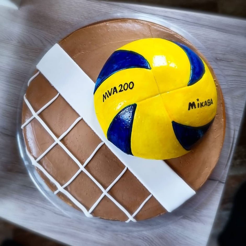 Торт с волейбольной тематикой