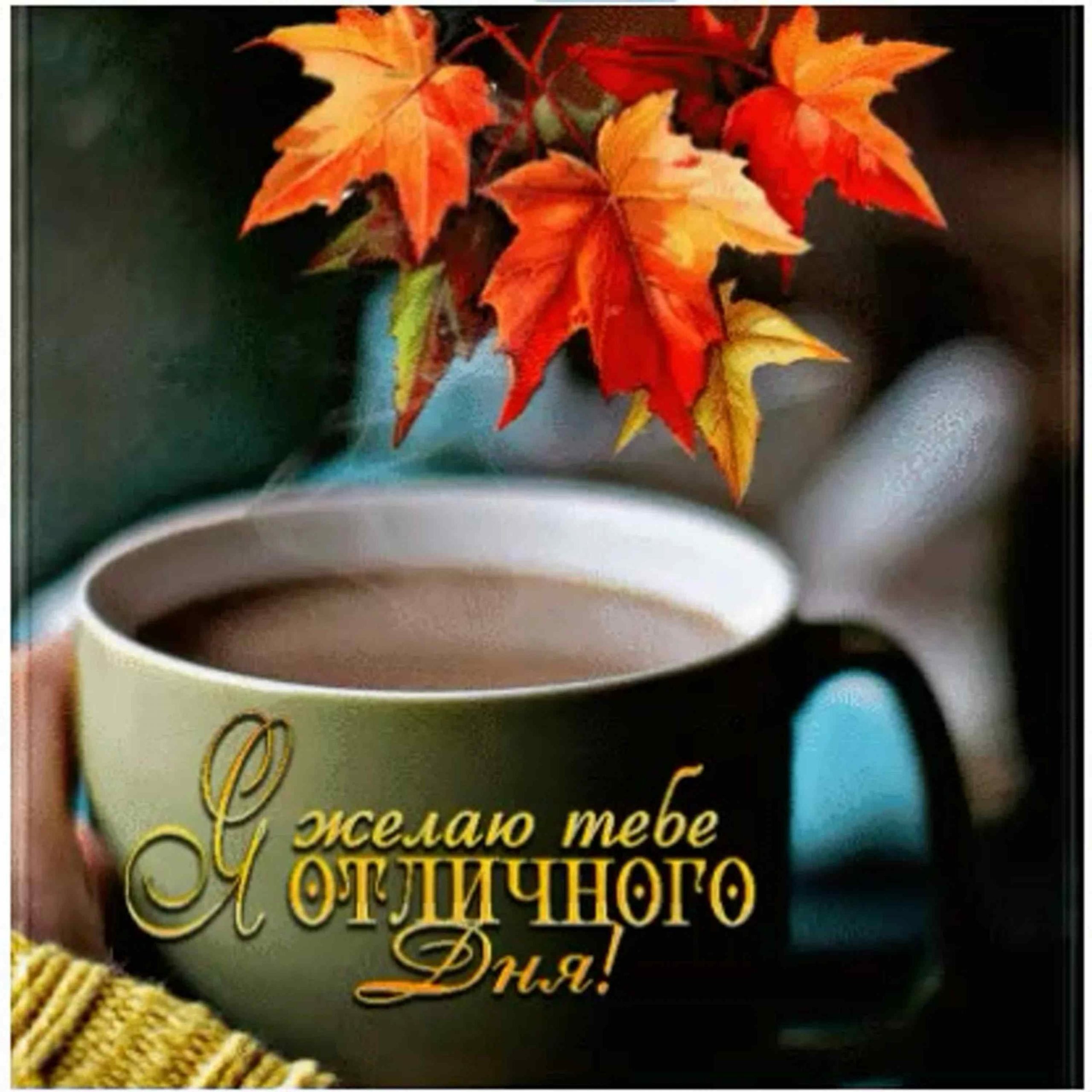 Доброе осеннее утро красивое пожелание. С добрым утром осенним с пожеланиями. Открытки с добрым утром осень. Осеннего утра и хорошего настроения. Пожелания доброго осеннего утра.