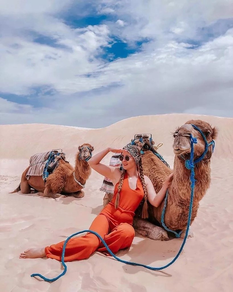 Тунис Верблюды