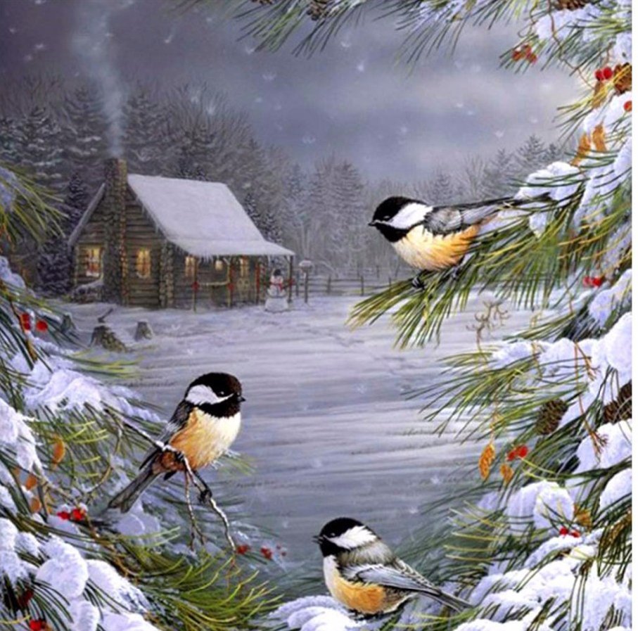 Доброго зимнего утра с птичками