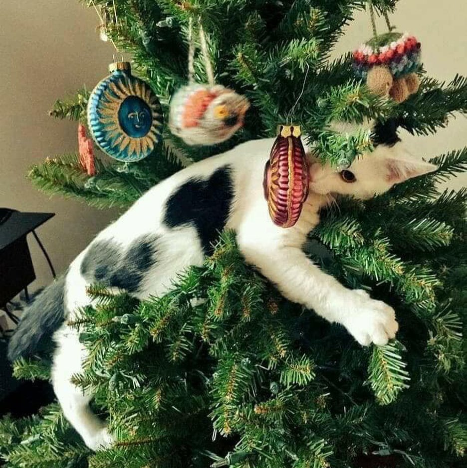 Кот наряжает елку