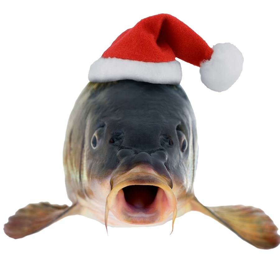 Рыбка в новогодней шапке