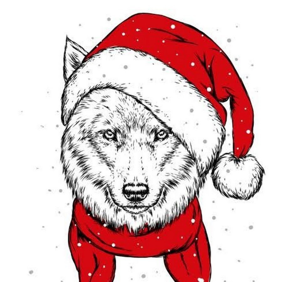 Волки в новогодних шапочках