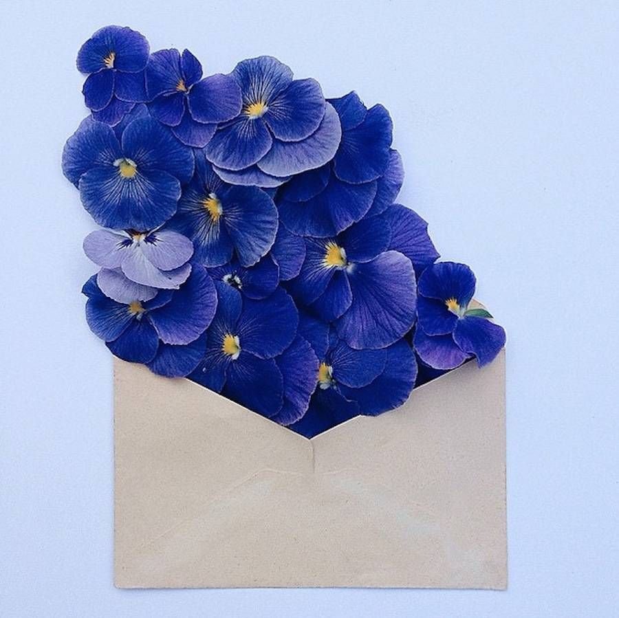 Цветы в конверте