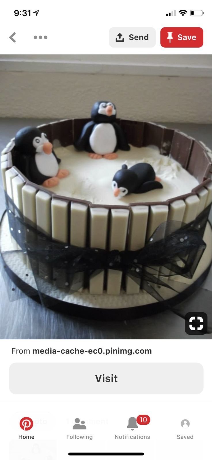 Шоколадный торт Пингвин