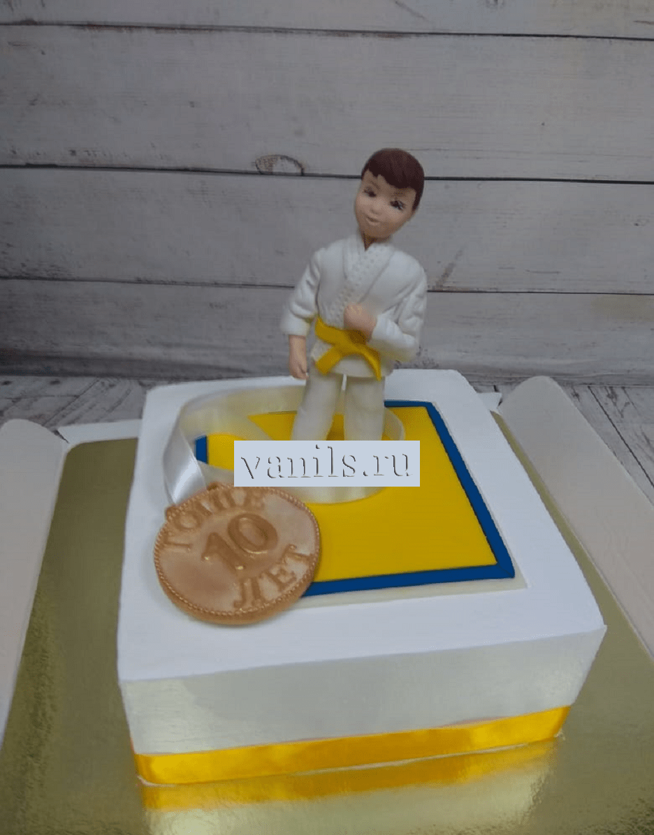 Торт дзюдо для мальчика