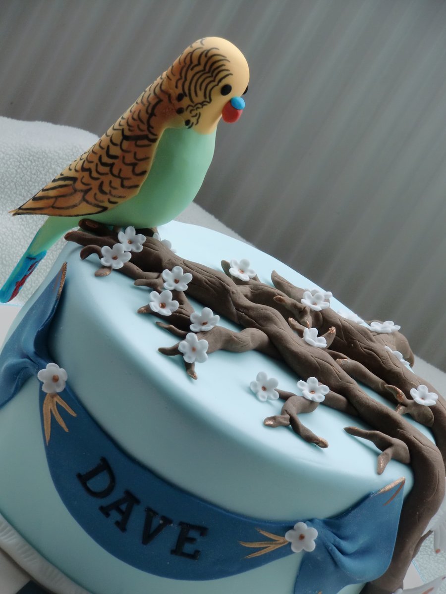 Торт с попугайчиками