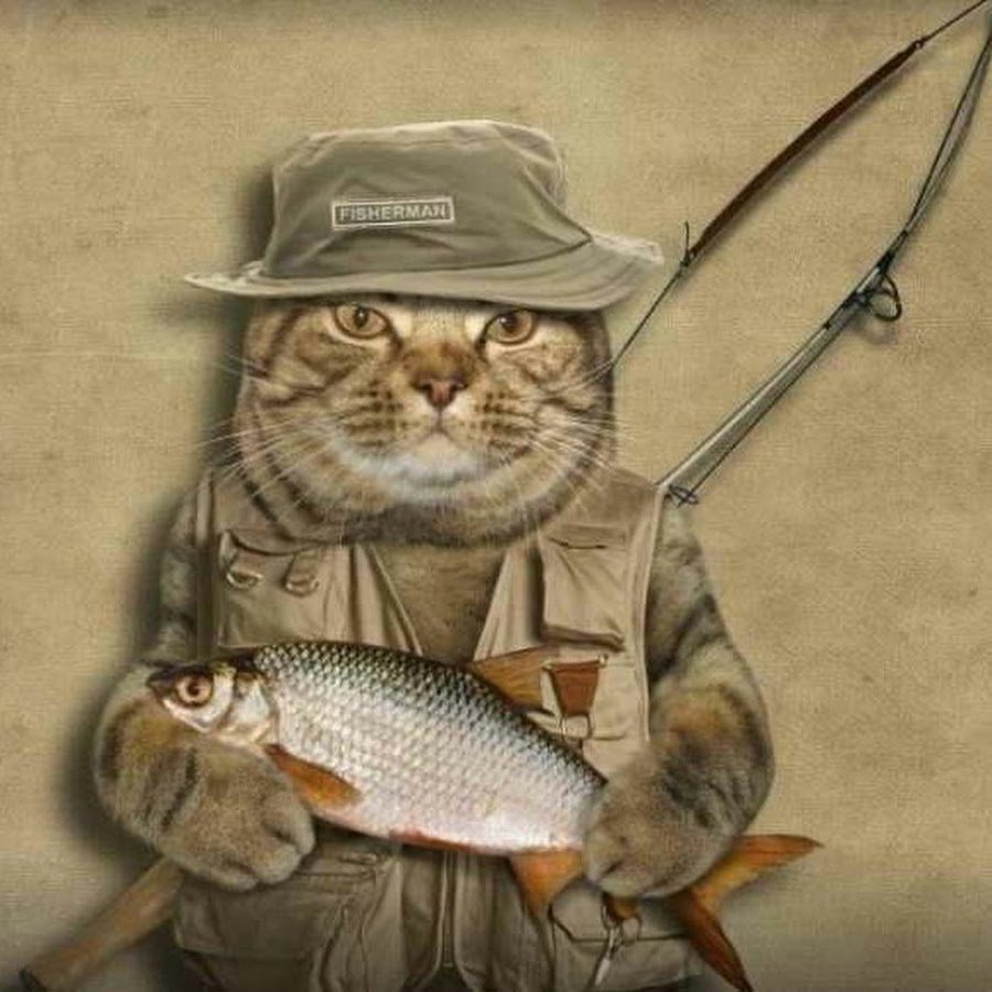 Открытки про рыбалку