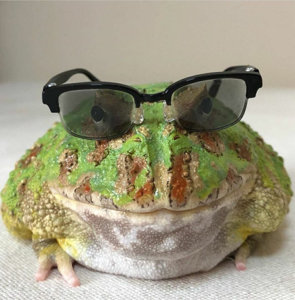 Картофельная жаба