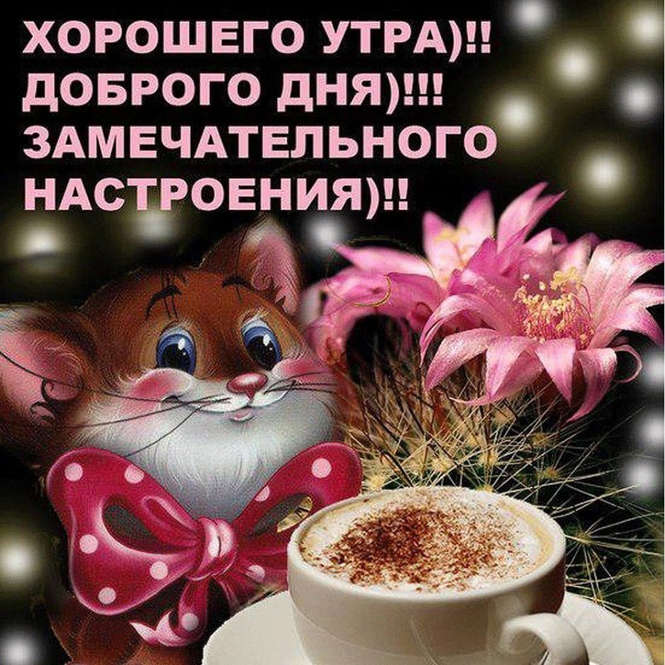 Доброе утро хорошего Лея