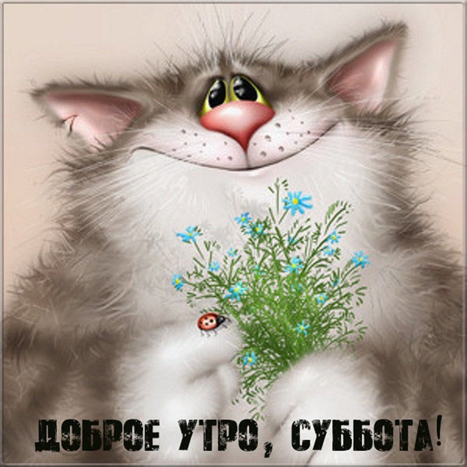 Кот поздравляет