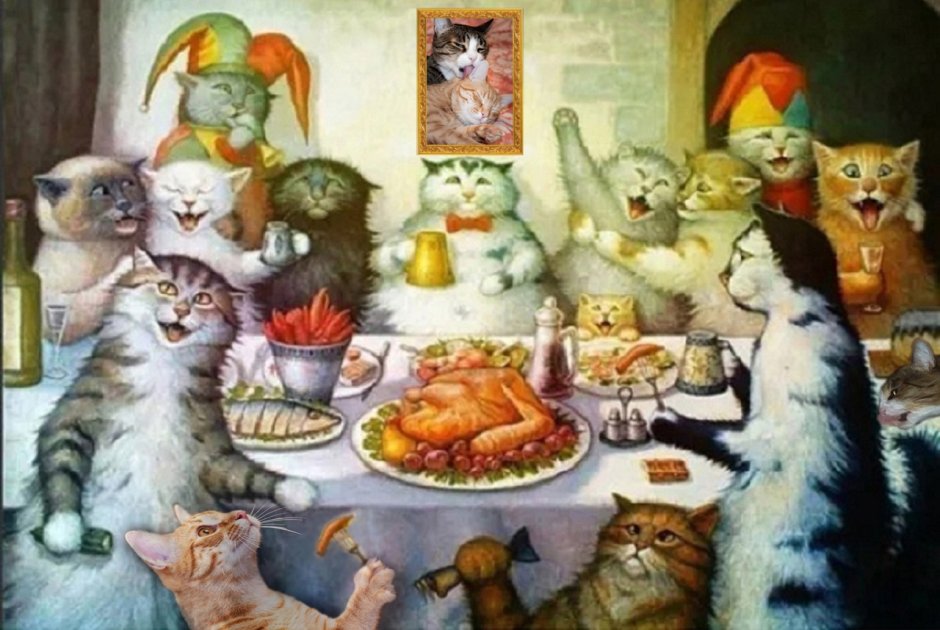 Коты празднуют