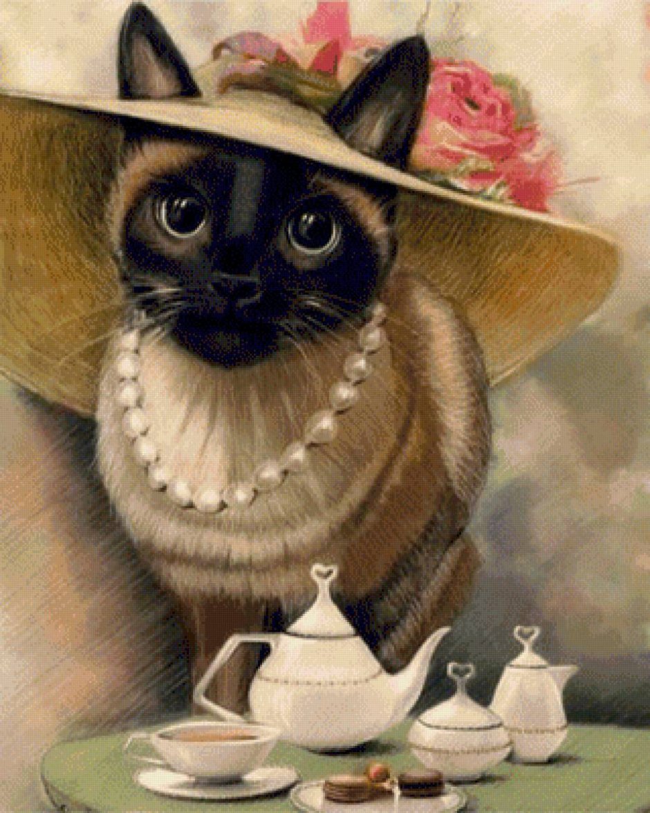Котик в шляпке