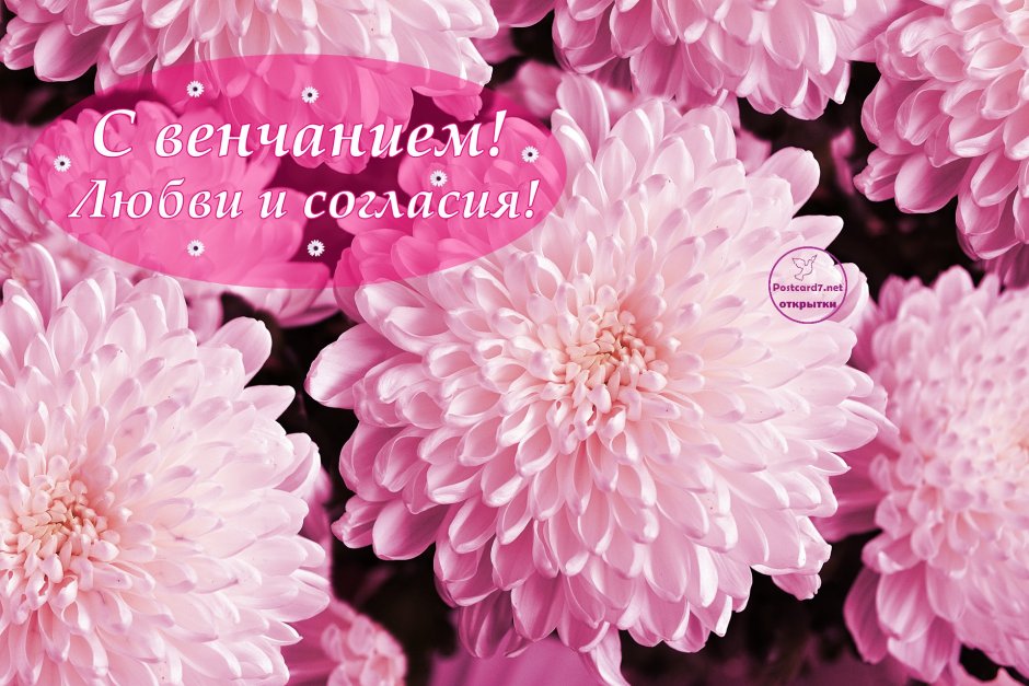 С днем венчания