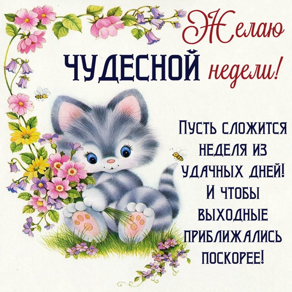 Поздравление с началом недели