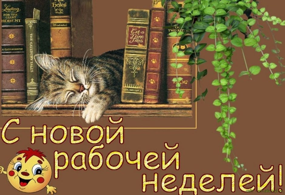 С новой рабочей неделей