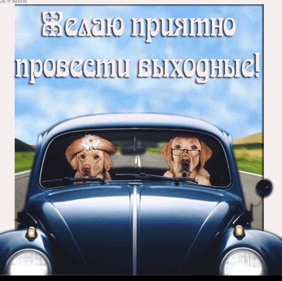 Открытка с добрым утром водителю