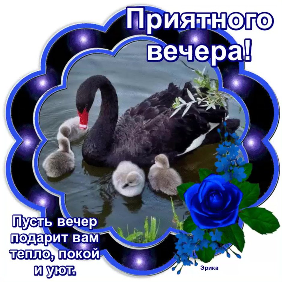 Славного вечера и душевного спокойствия