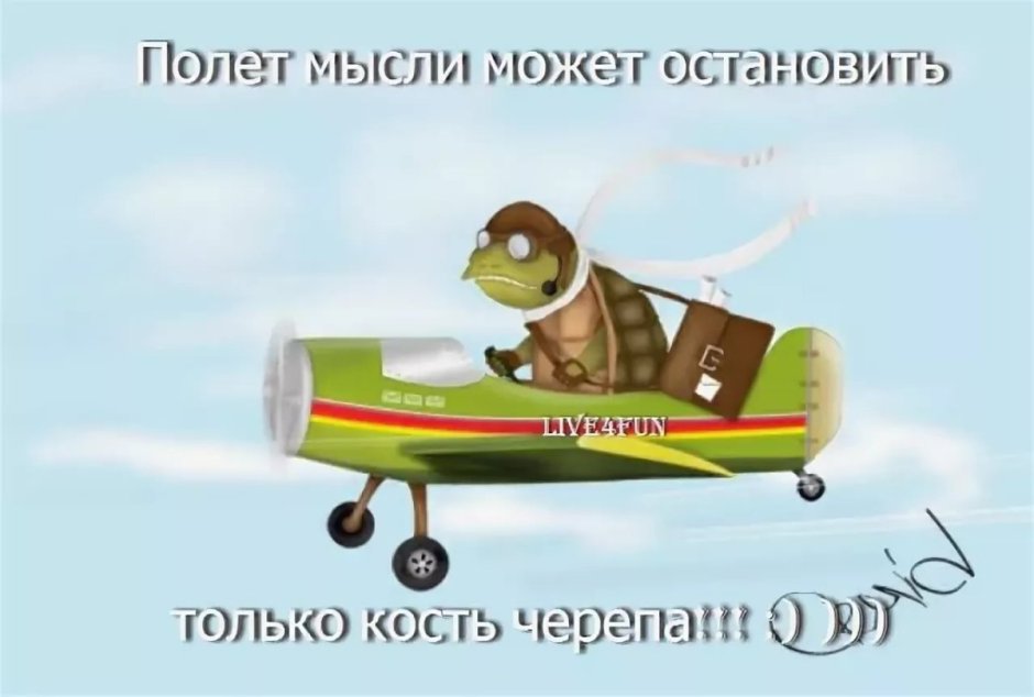 Приятного полёта и мягкой посадки в картинках прикольные