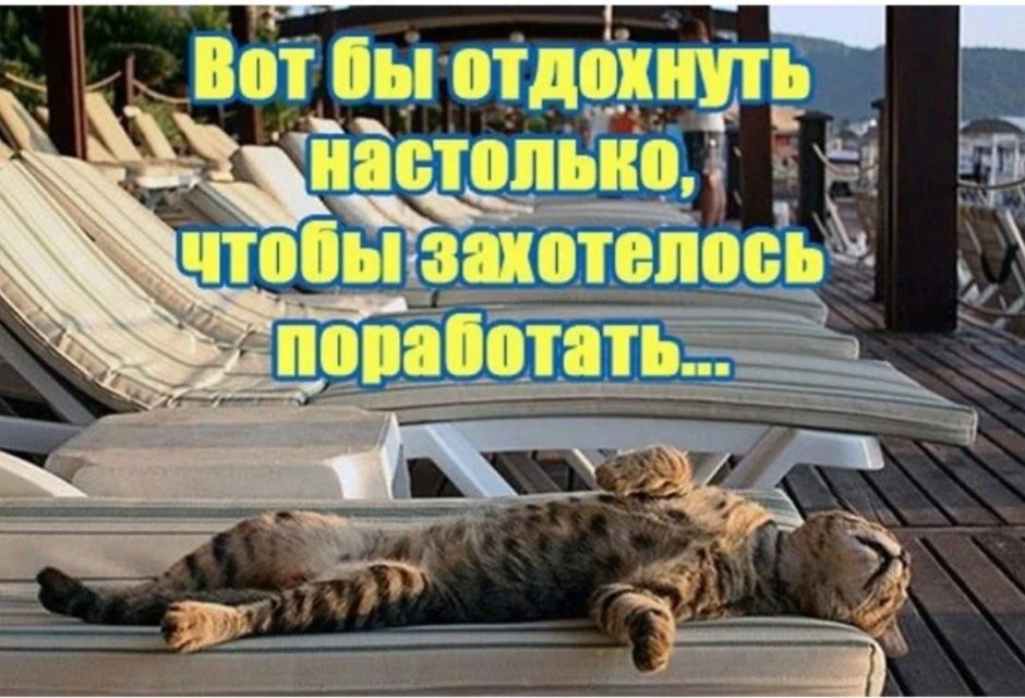 Смешные картинки про отпуск