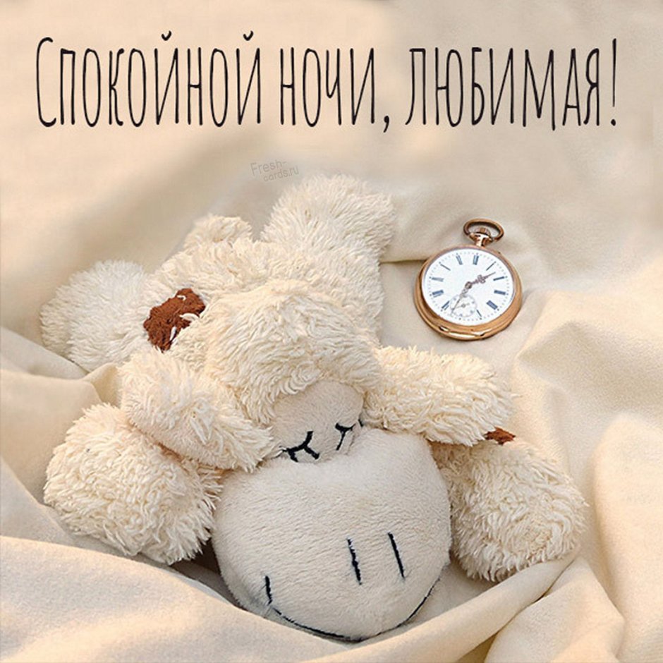 Мишка обнимает