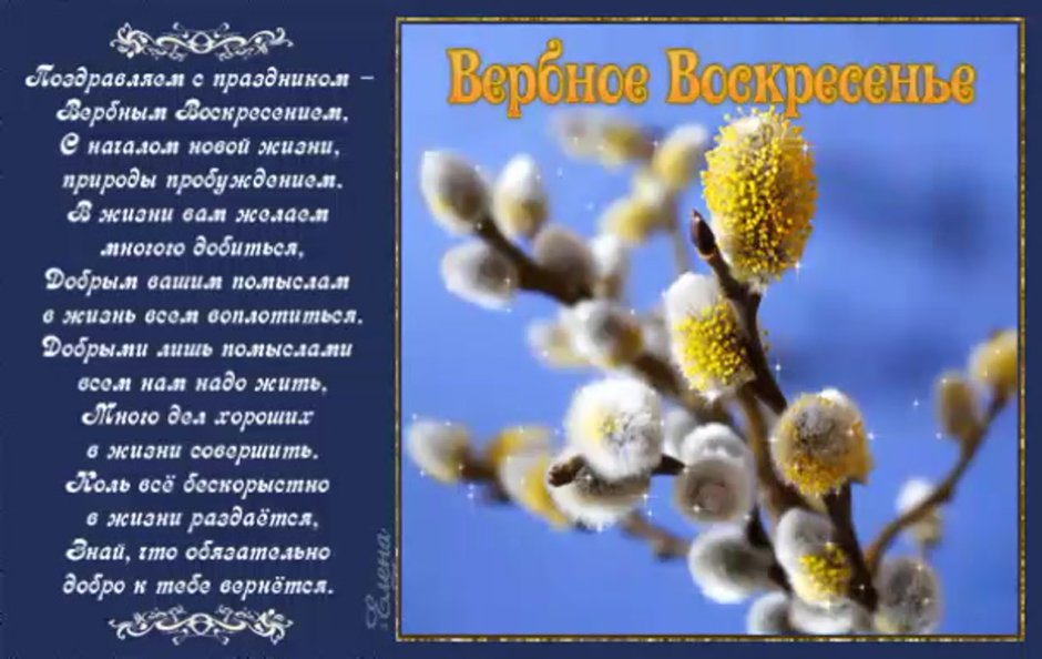 Открытки с вербой красивые