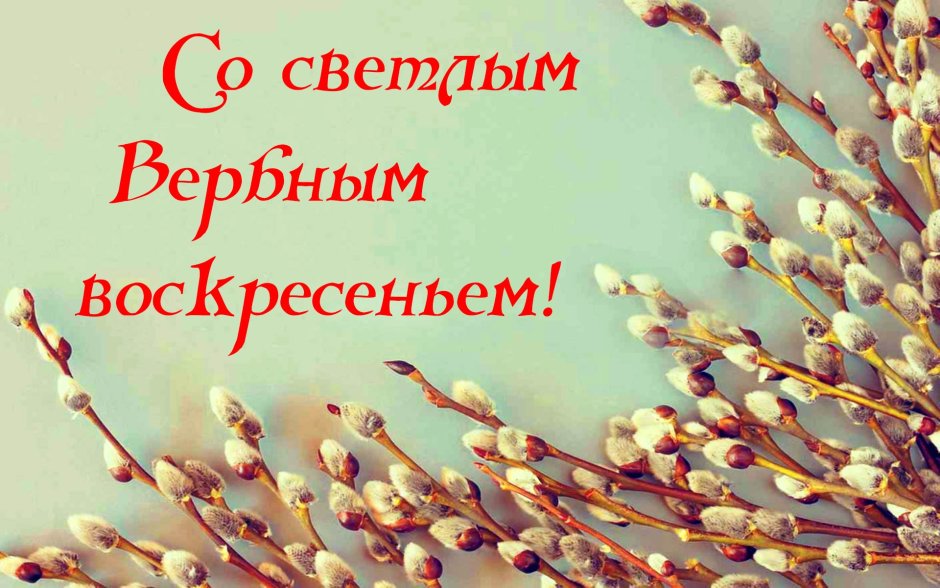 Верба 2022
