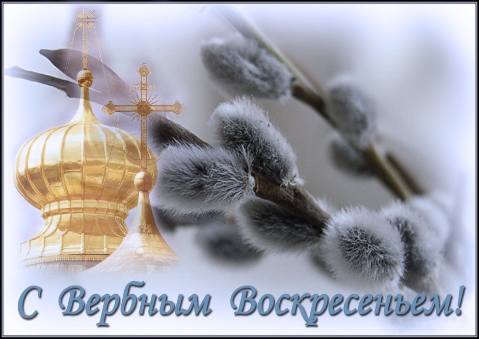 Поздравительные открытки с вербой