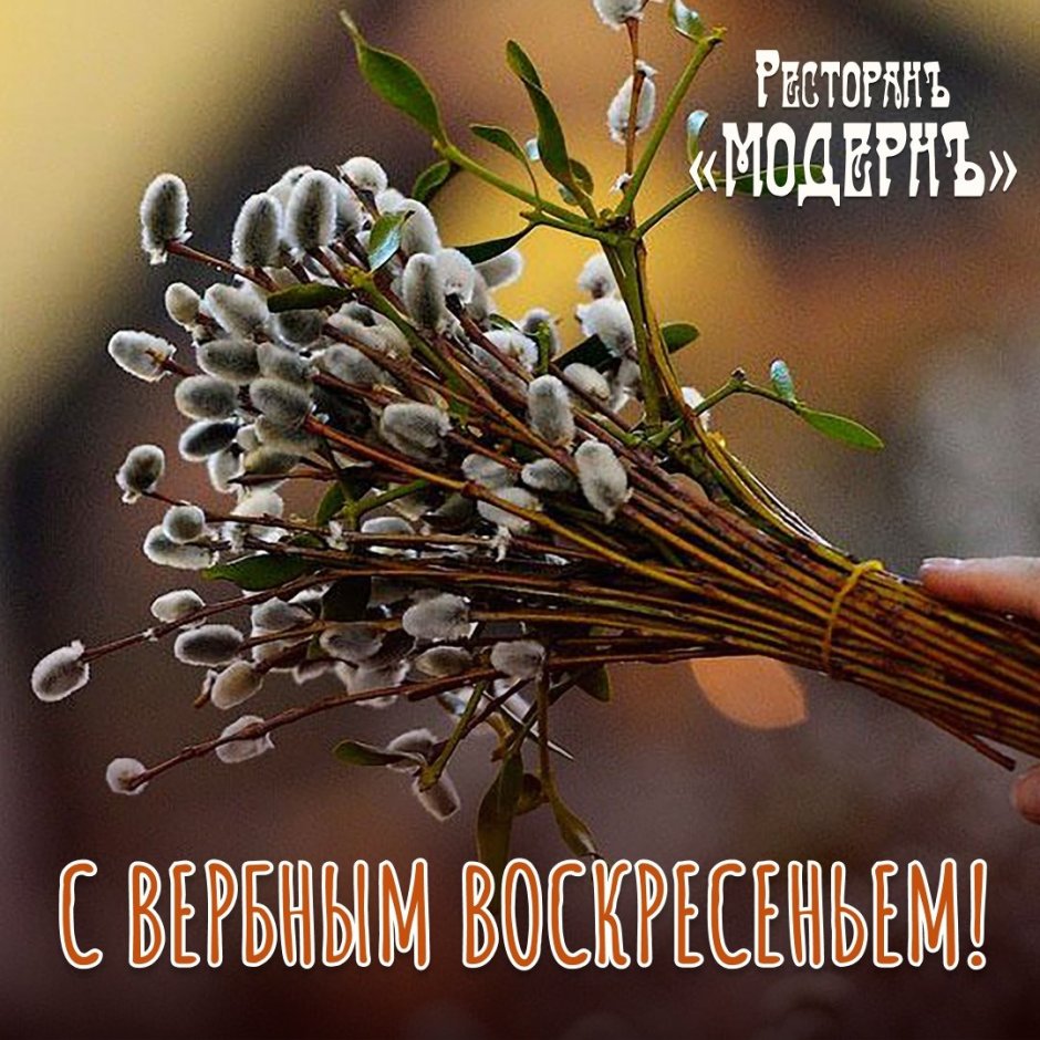 Открытки с Вербным воскресеньем мужу