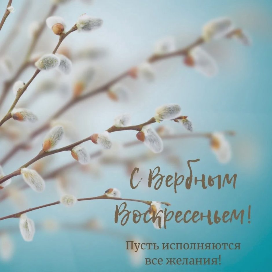Красивые букеты с вербой