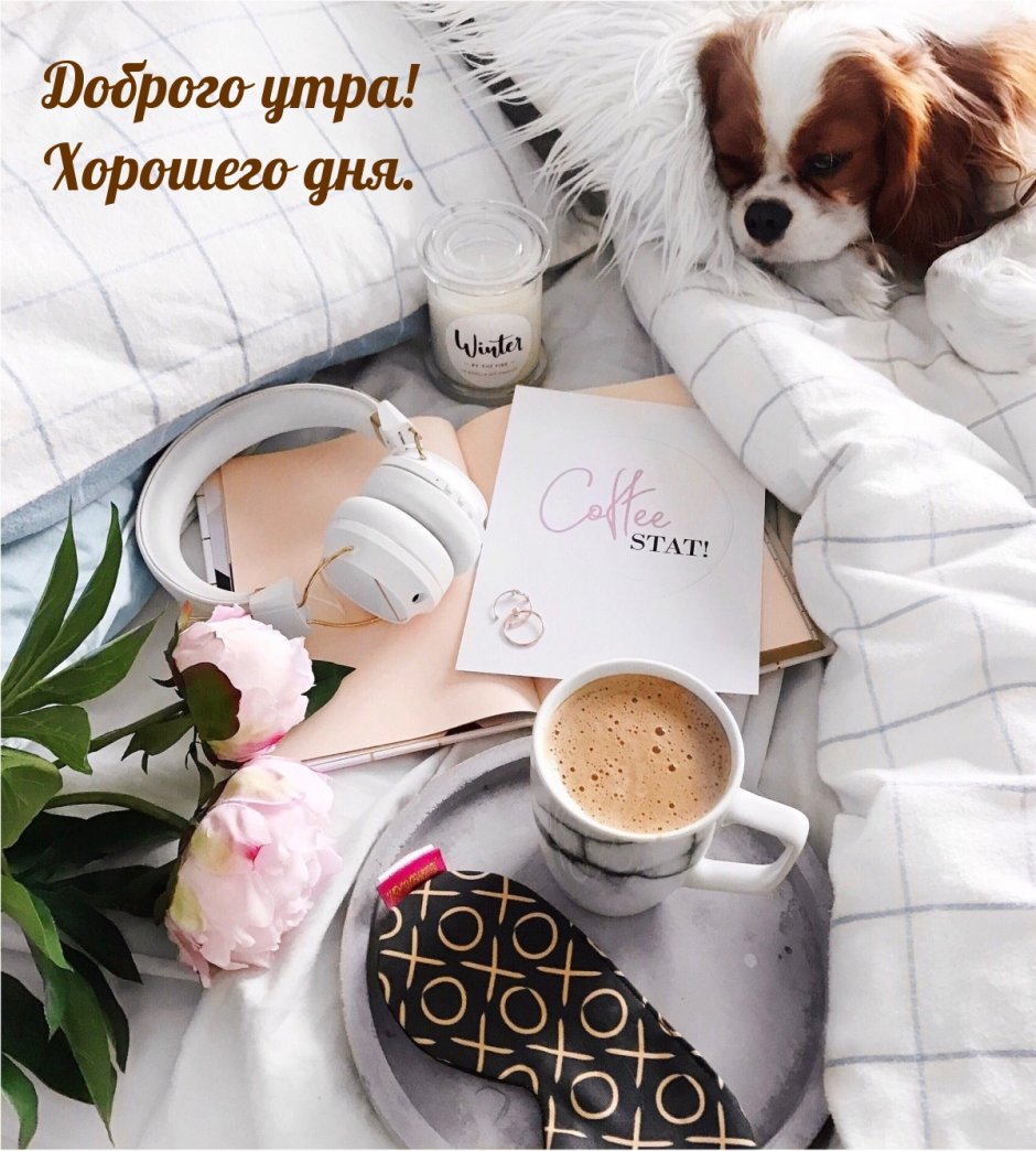 Стильные открытки с добрым утром