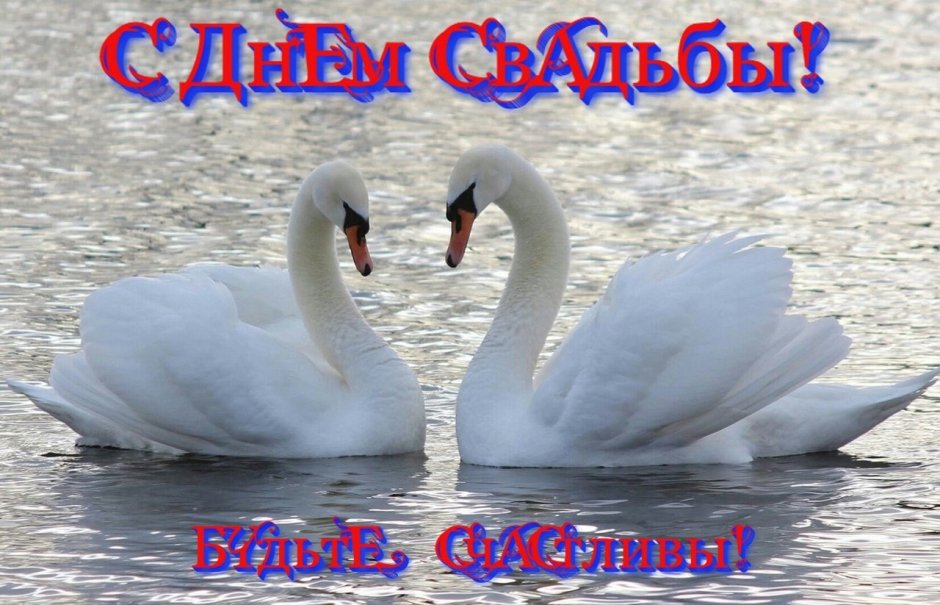 Открытка с днем свадьбы с лебедями