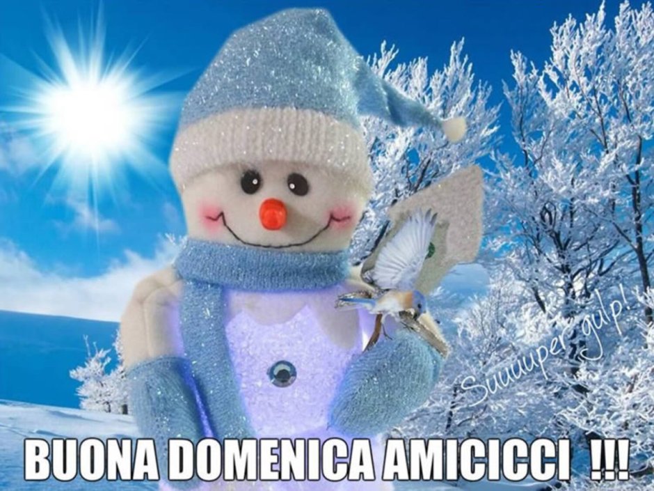Зимний привет