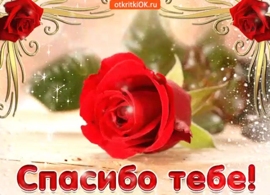 Спасибо за подарок