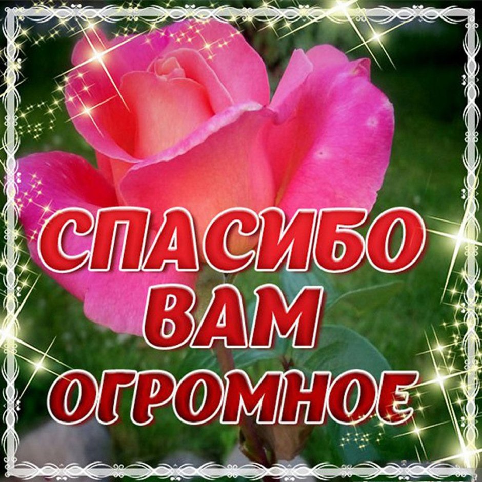 Благодарность картинки