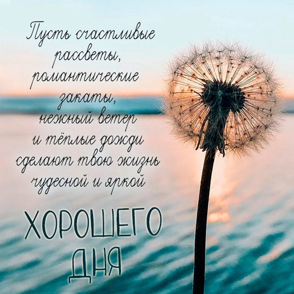 Картинки про счастье с надписями
