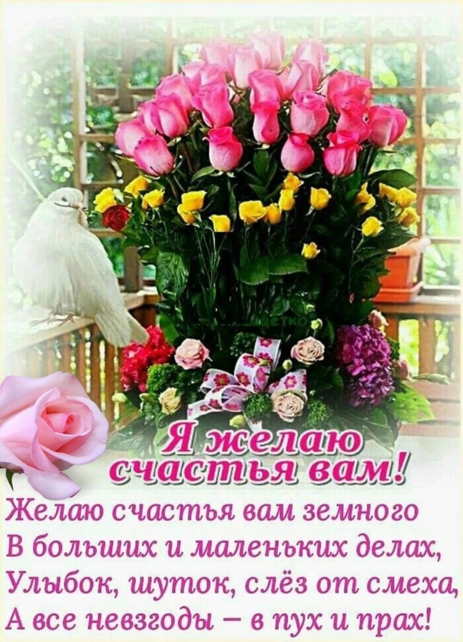 Пожелания тепла и радости